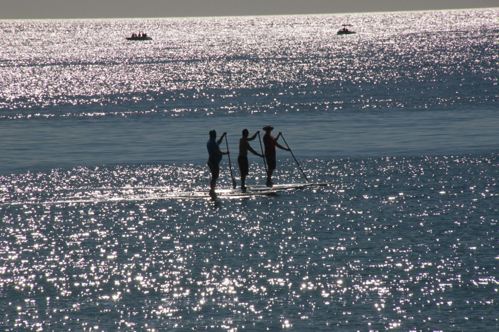 photo of three paddle surfers