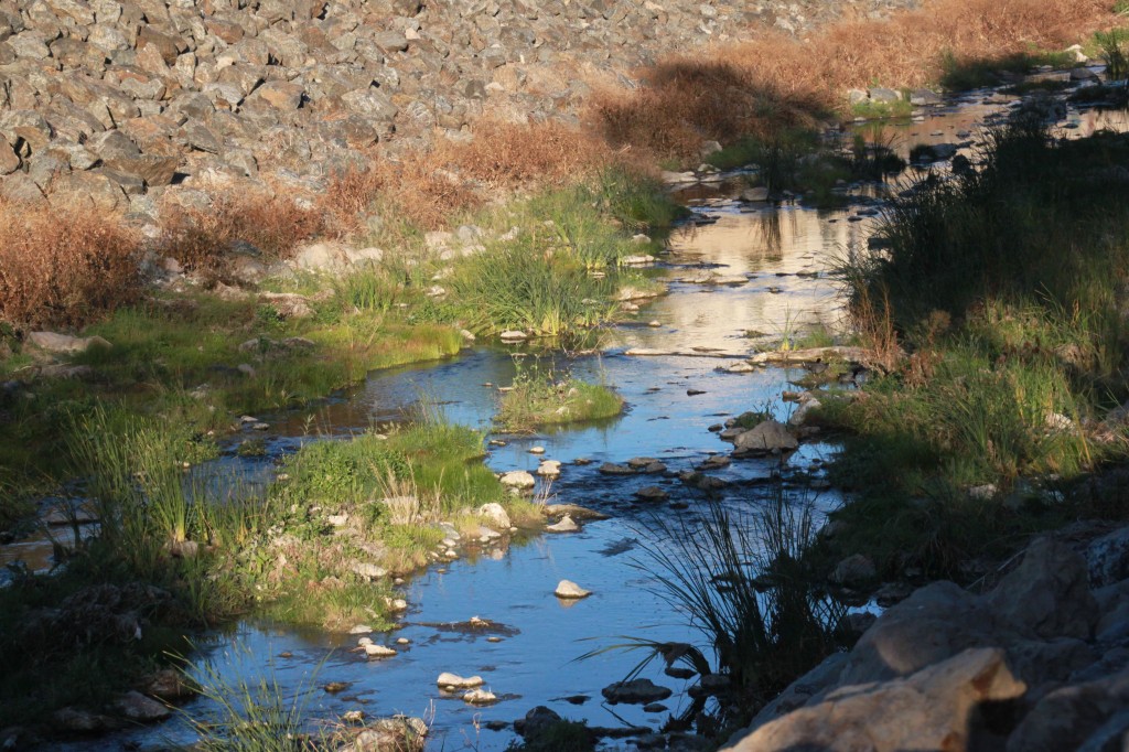A photo of the arroyo.