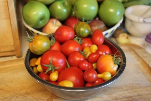 Saturday's Tomato harvest - the small yellow ones are the lemon pear tomatoes, the small red ones are the cherry tomatoes, the two green and yellow striped ones toward the back are the Green Zebra, and the orangish one at the front right is the Mr. Stripey (but without stripes).