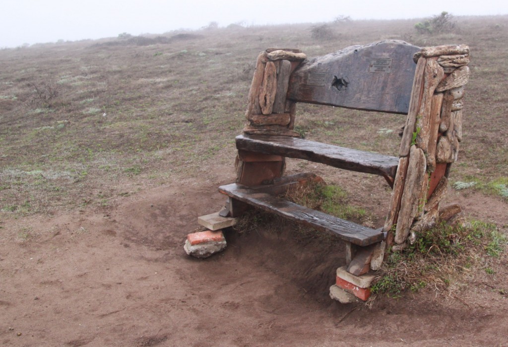 Fabulous place to sit and watch the sea. A great spot to rest during the long Fiscalini Ranch walk.