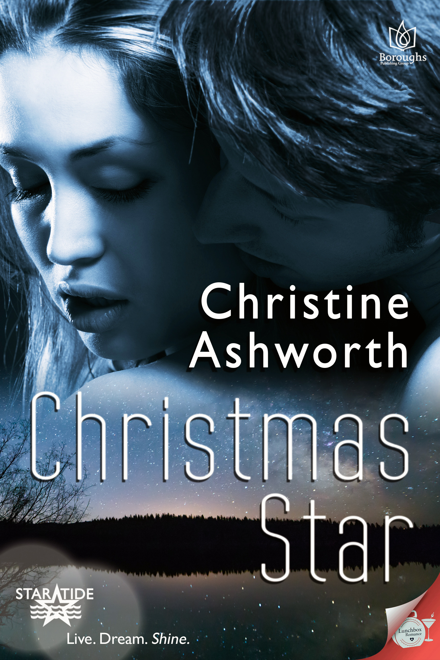 http://christine-ashworth.com/wp-content/uploads/2014/09/TheChristmasStar_temp.jpg
