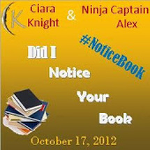 Did I Notice Your Book Blogfest!
