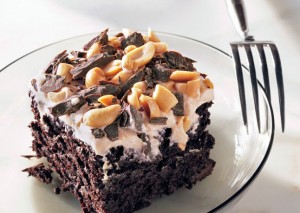 Wrangling Recipes – A Fun Cake!